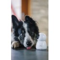 Numaxes Eyenimal Pet Vision Live Hd Camera Zonder Geluid Detectie