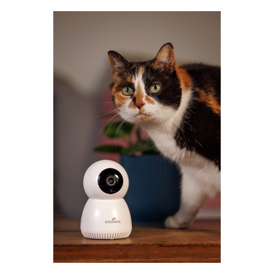 Numaxes Eyenimal Pet Vision Live Hd Camera Zonder Geluid Detectie