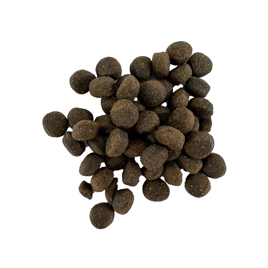 I Am Konijn Knikkers