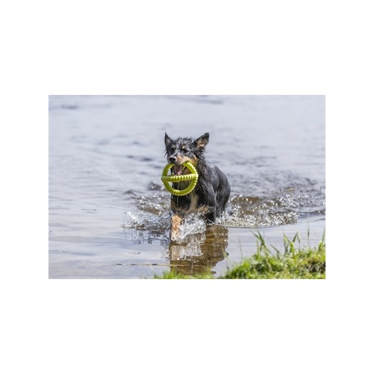 Trixie Aqua Toy Trekspeeltje Tpr Lime