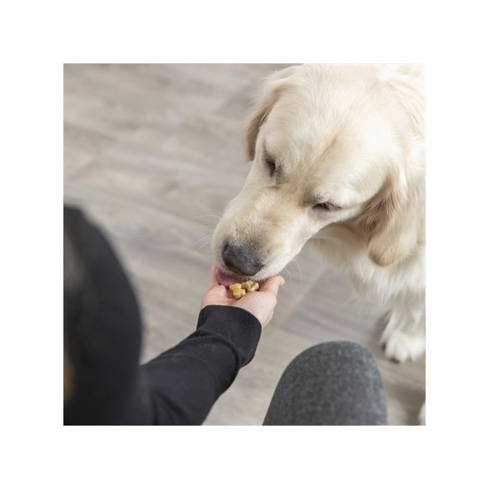 Trixie Bakmat Met Botjes Voor Hond Silicone