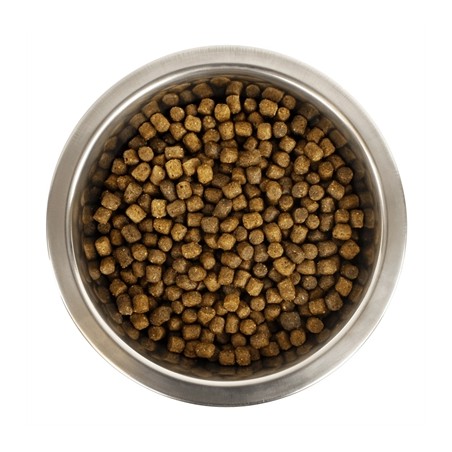 Yourdog Chien Français Blanc Et Orange Pup