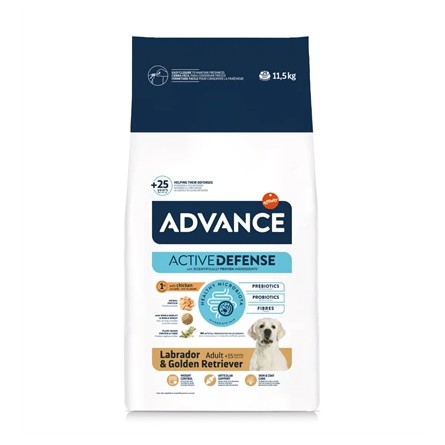 Advance Adult Labrador Retriever