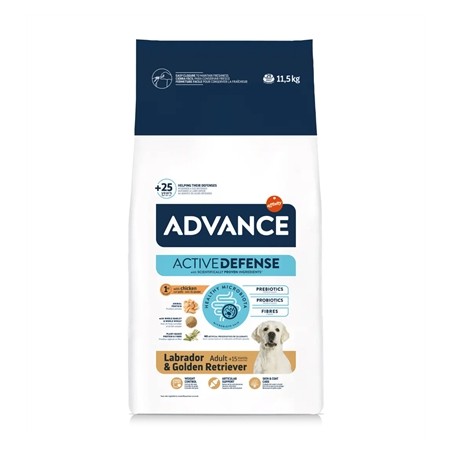 Advance Adult Labrador Retriever