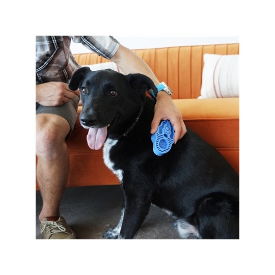 Kong Zoomgroom Boysenberry Blauw