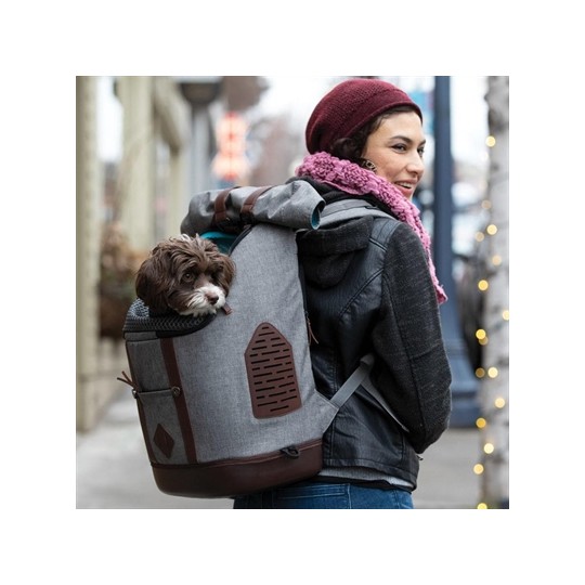 Kurgo Rugzak Grijs/Bruin