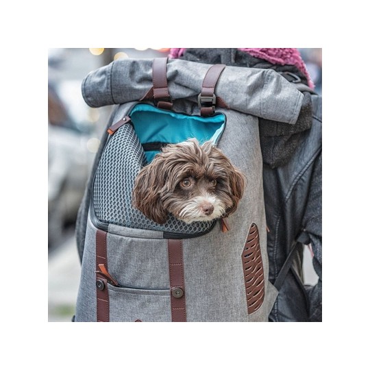 Kurgo Rugzak Grijs/Bruin