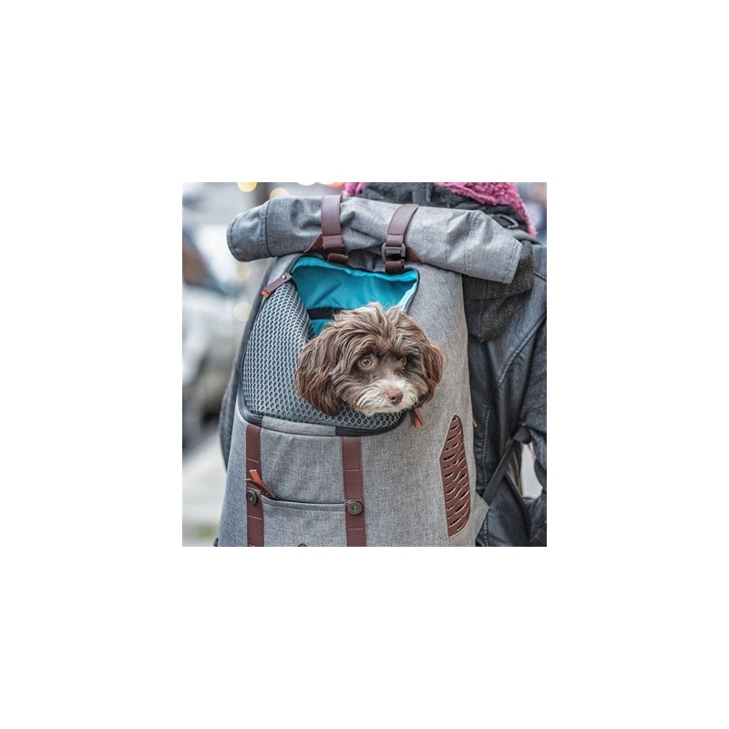 Kurgo Rugzak Grijs/Bruin