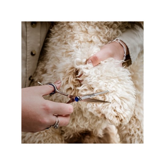 Mikki Doodle Schaar Voor Kop En Poten