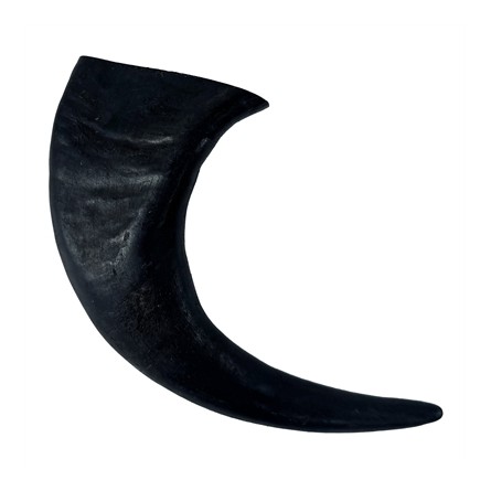 Merkloos T-Rex Groot