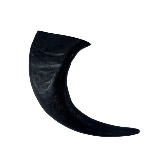 Merkloos T-Rex Groot