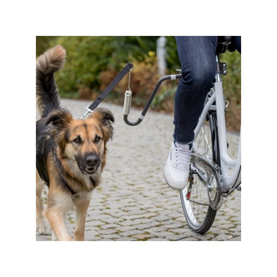 Trixie Fietsbeugel U-Vorm