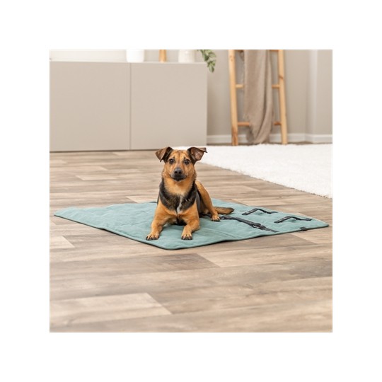 Trixie Hondendeken Reisdeken Citystyle Vierkant Saliegroen