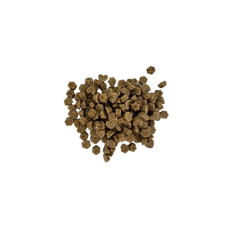 Dog Treatz Koektrainer Kalkoen / Kurkuma Graanvrij