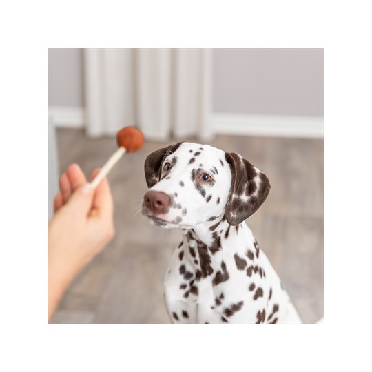 Trixie Premio Lolly Met Kabeljauw