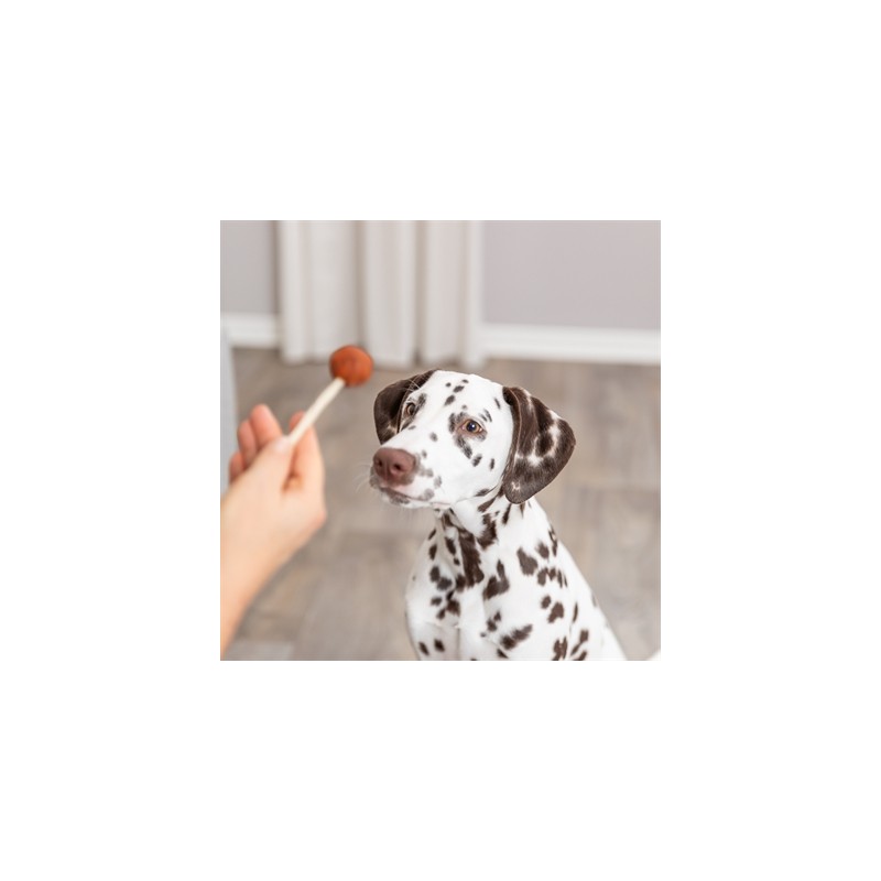 Trixie Premio Lolly Met Kabeljauw