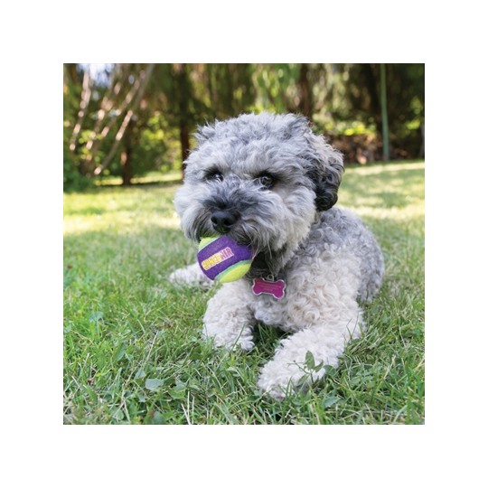 Kong Crunchair Tennisballen