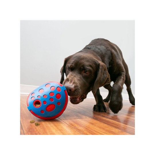 Kong Rewards Wally Blauw / Rood