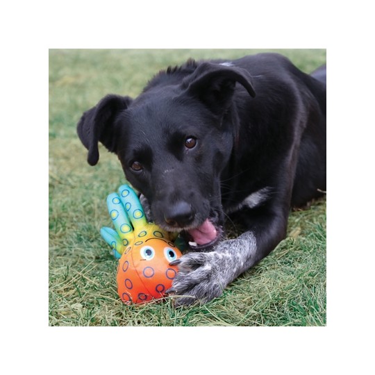 Kong Shieldz Tropics Octopus