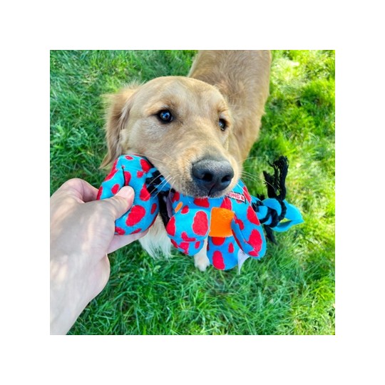 Kong Signature Dynos Fleece Met Piep Assorti