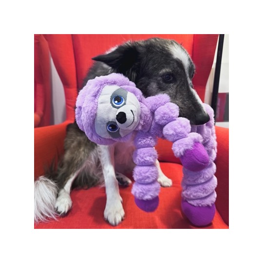 Kong Shakers Crumples Luiaard