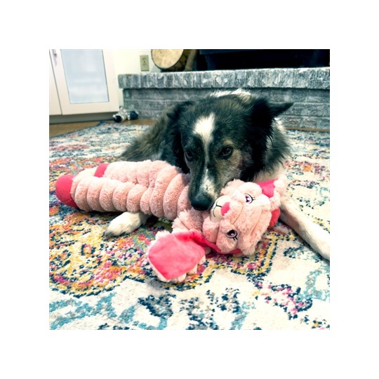 Kong Shakers Crumples Konijn