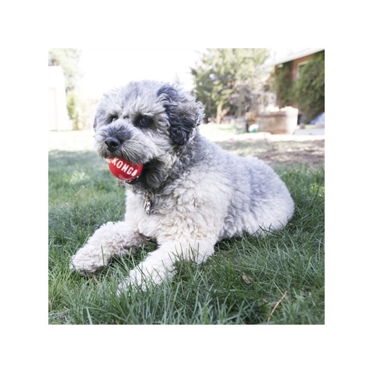 Kong Signature Ballen Assorti