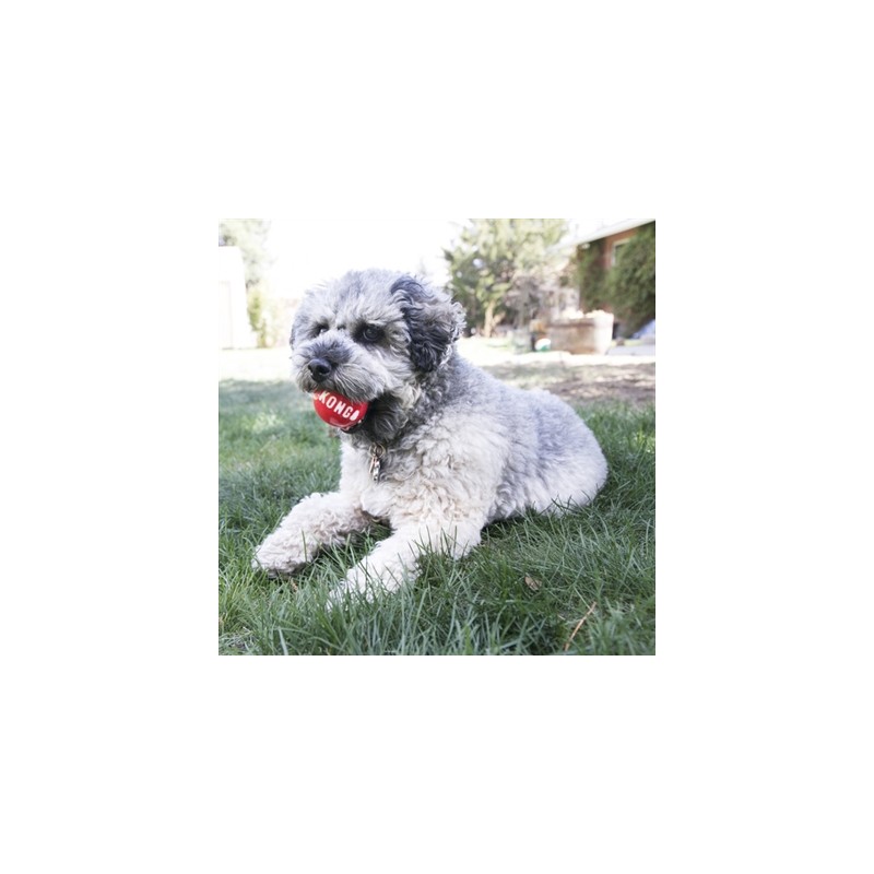 Kong Signature Ballen Assorti