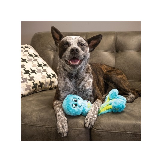 Kong Wubba Octopus Assorti