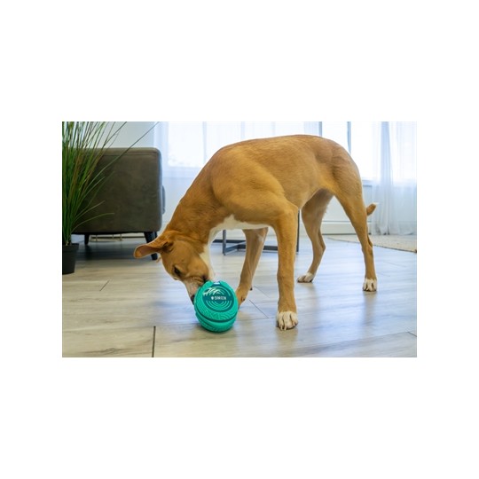 Kong Licks Rewards Groen