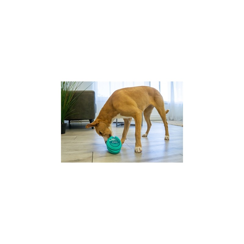 Kong Licks Rewards Groen