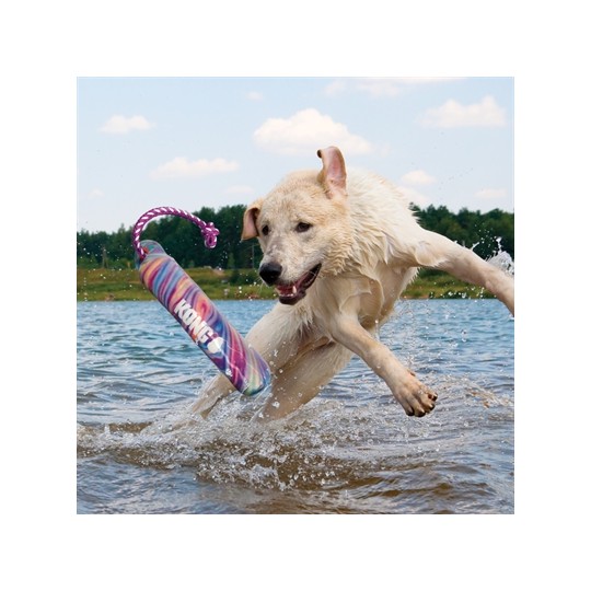 Kong Wild Shieldz Training Dummy Swirl