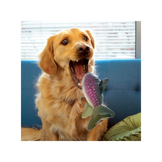 Kong Wild Shieldz Trout