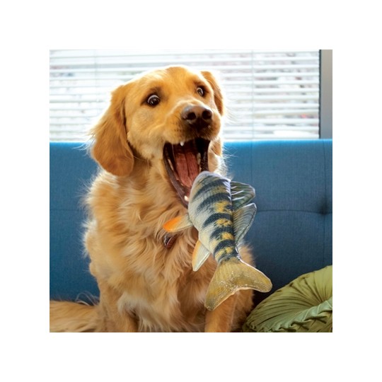 Kong Wild Shieldz Perch