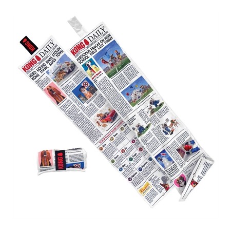 Kong Daily Newspaper Krant