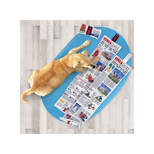 Kong Daily Newspaper Krant