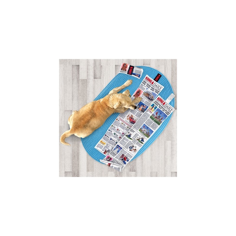 Kong Daily Newspaper Krant