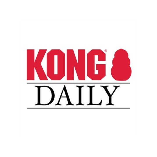 Kong Daily Newspaper Krant