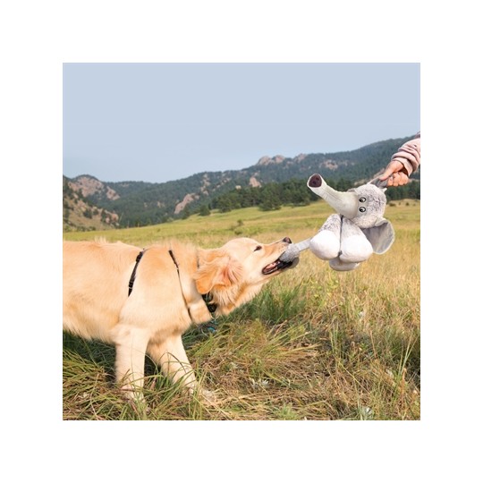 Kong Stretchezz Legz Beer