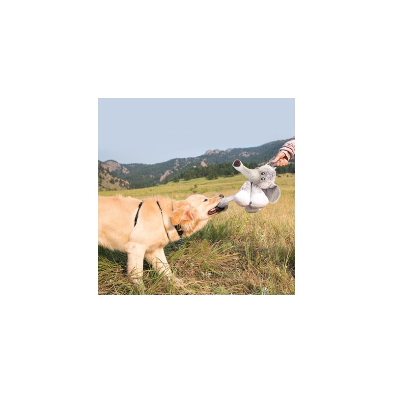 Kong Stretchezz Legz Beer