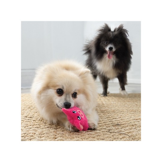 Kong Snuzzles Mini Varken
