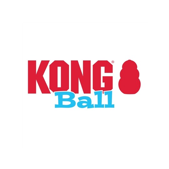 Kong Puppy Bal Assorti