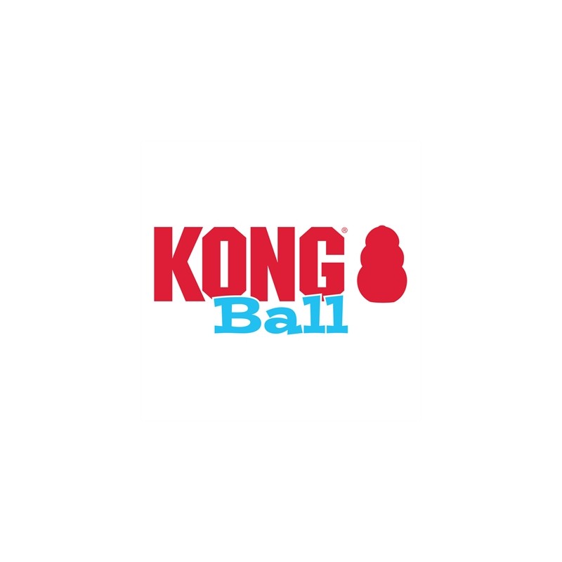 Kong Puppy Bal Assorti