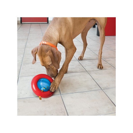 Kong Gyro Rood / Blauw