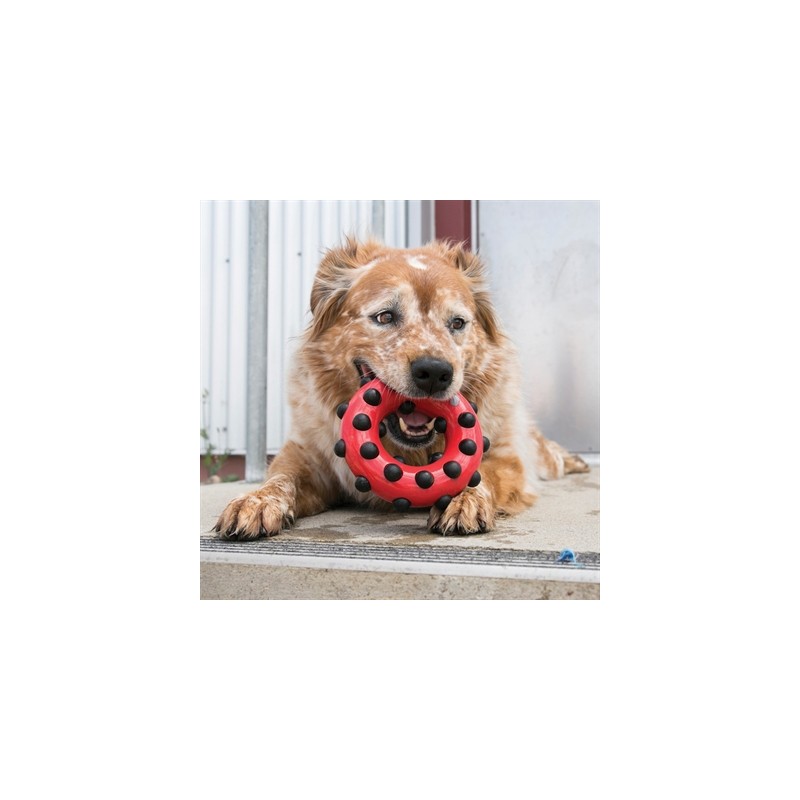 Kong Dotz Circle