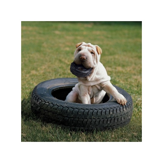 Kong Extreme Traxx Tyres