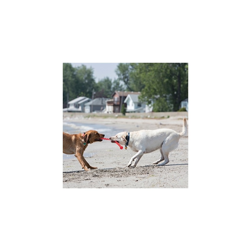 Kong Safestix Assorti