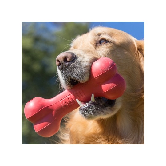 Kong Goodie Bone