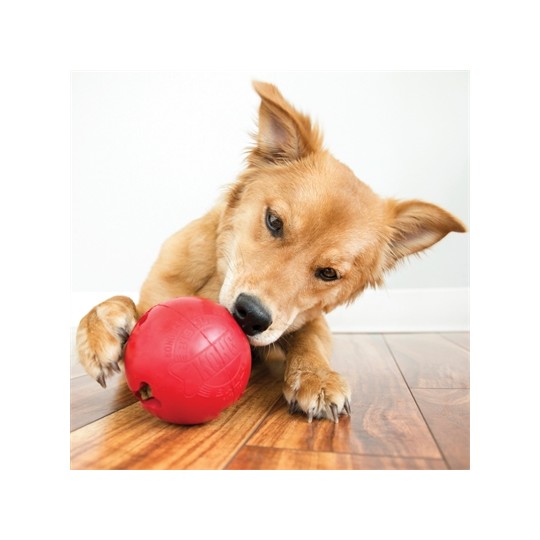 Kong Biscuit Ball