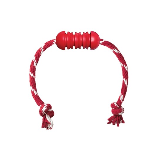 Kong Dental Met Touw